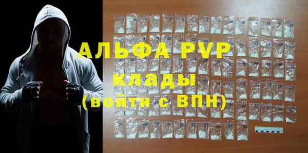 спиды Магас