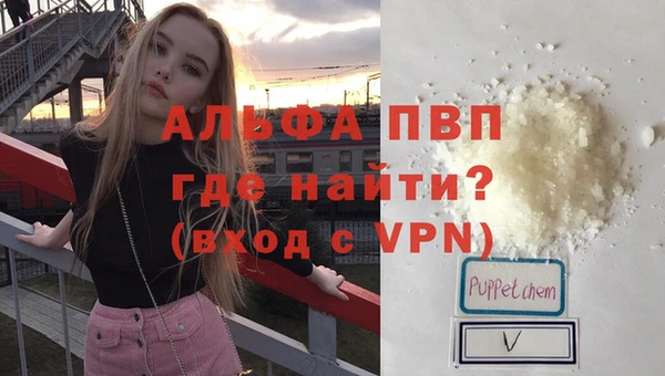 спиды Магас